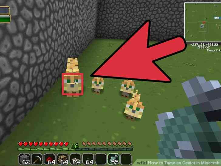 Image intitulé Apprivoiser un Ocelot dans Minecraft Étape 10